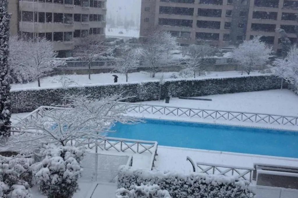 Grazioso Appartamento Immerso Nel Verde Rome Apartment